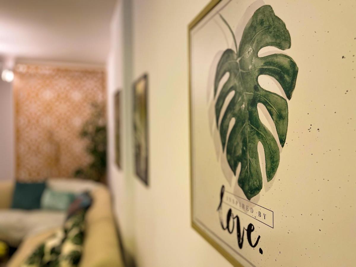 Apartamento Dos Sonhos - Centro Bc Balneário Camboriú Eksteriør billede